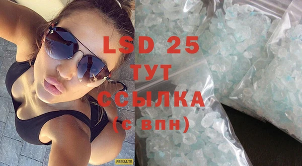 ГАЛЛЮЦИНОГЕННЫЕ ГРИБЫ Гусев