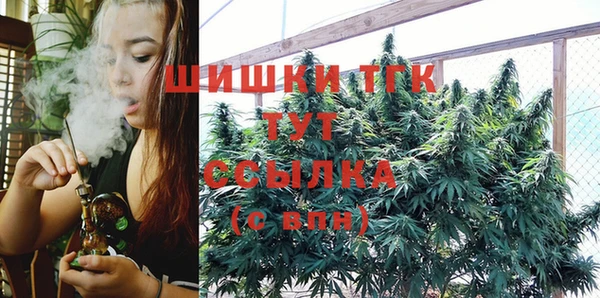ГАЛЛЮЦИНОГЕННЫЕ ГРИБЫ Гусев