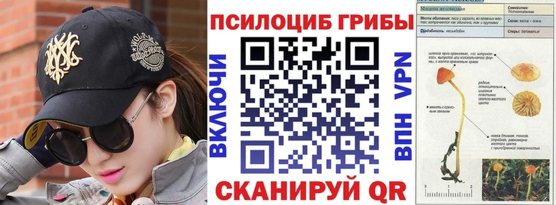 Псилоцибиновые грибы Psilocybine cubensis  OMG зеркало  Гусь-Хрустальный 